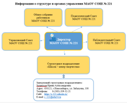 Информация о структуре и органах управления МАОУ СОШ № 221