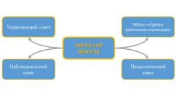 Схема управления МАОУ СОШ № 221